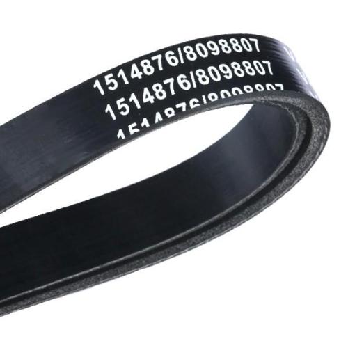 RIDEX Keilrippenriemen für RENAULT Clio 1II Schrägheck (BR0/1, CR0/1) Bild RIDEX Keilrippenriemen für RENAULT Clio 1II Schrägheck (BR0/1, CR0/1)