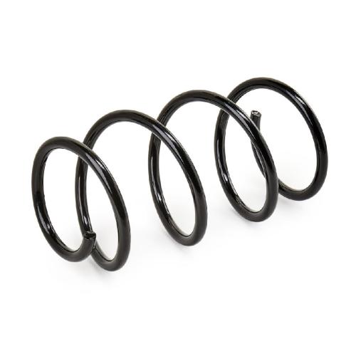 RIDEX 188C0425 2x Federn Fahrwerksfedern Vorne für BMW 5 Limousine (E60) Bild RIDEX 188C0425 2x Federn Fahrwerksfedern Vorne für BMW 5 Limousine (E60)
