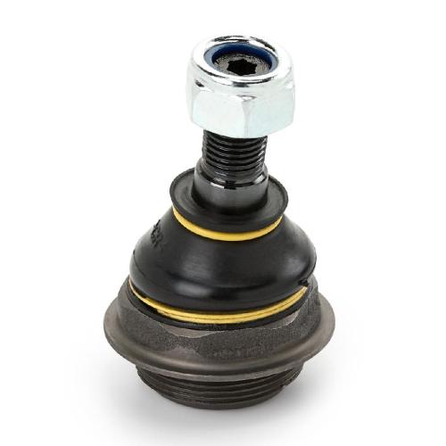 RIDEX PLUS 2462S0448P Traggelenk Führungsgelenk für CITROËN BERLINGO (B9) Bild RIDEX PLUS 2462S0448P Traggelenk Führungsgelenk für CITROËN BERLINGO (B9)