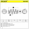 RIDEX 188C0869 2x Federn Fahrwerksfedern Vorne für RENAULT 540100027R Bild RIDEX 188C0869 2x Federn Fahrwerksfedern Vorne für RENAULT 540100027R