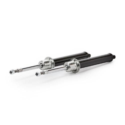 RIDEX 854S2572 2x Stoßdämpfer Gasdruck Vorne für SMART CITY-COUPE (450) Bild RIDEX 854S2572 2x Stoßdämpfer Gasdruck Vorne für SMART CITY-COUPE (450)