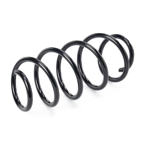 RIDEX 188C0049 2x Federn Fahrwerksfedern Vorne für VW Passat Variant (3C5) Bild RIDEX 188C0049 2x Federn Fahrwerksfedern Vorne für VW Passat Variant (3C5)