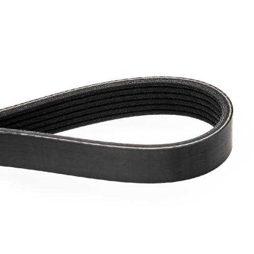 RIDEX Keilrippenriemen für AUDI A4 Avant (8K5, B8) Bild RIDEX Keilrippenriemen für AUDI A4 Avant (8K5, B8)