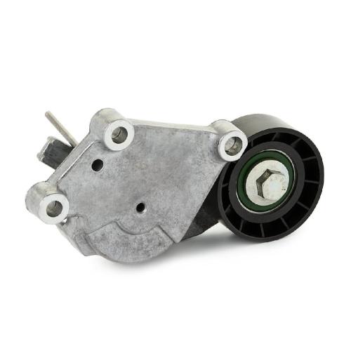 RIDEX PLUS Spannarm Keilrippenriemen für FORD Fiesta Mk6 Schrägheck (JA8, JR8) Bild RIDEX PLUS Spannarm Keilrippenriemen für FORD Fiesta Mk6 Schrägheck (JA8, JR8)