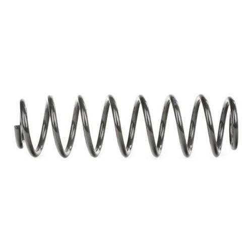 RIDEX 188C0205 2x Federn Fahrwerksfedern Hinten für SKODA 6Q0511115M Bild RIDEX 188C0205 2x Federn Fahrwerksfedern Hinten für SKODA 6Q0511115M