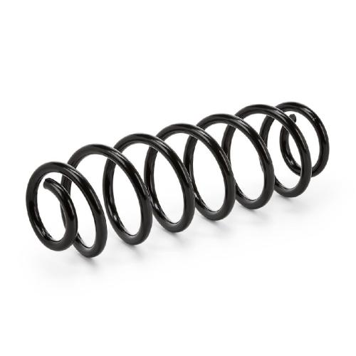 RIDEX 188C0090 2x Federn Fahrwerksfedern Hinten für VW Golf 5I (5K1) Bild RIDEX 188C0090 2x Federn Fahrwerksfedern Hinten für VW Golf 5I (5K1)