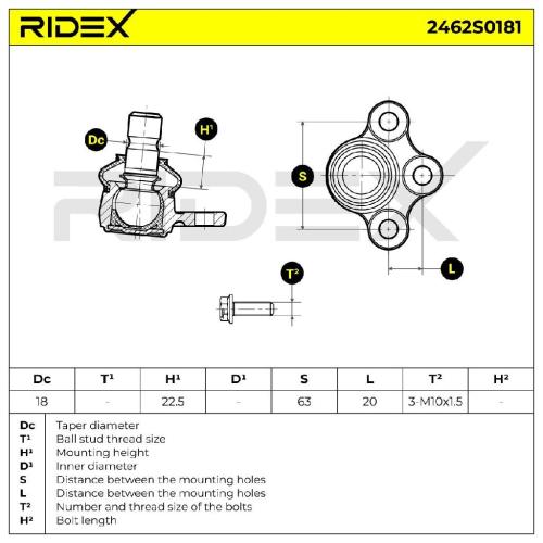 RIDEX 2462S0181 Traggelenk Führungsgelenk Vorne unten passend für PEUGEOT 207 Bild RIDEX 2462S0181 Traggelenk Führungsgelenk Vorne unten passend für PEUGEOT 207