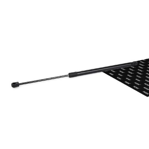 RIDEX 219G0007 Heckklappendämpfer hinten Länge:545mm 450N Hub: 210mm für BMW Bild RIDEX 219G0007 Heckklappendämpfer hinten Länge:545mm 450N Hub: 210mm für BMW