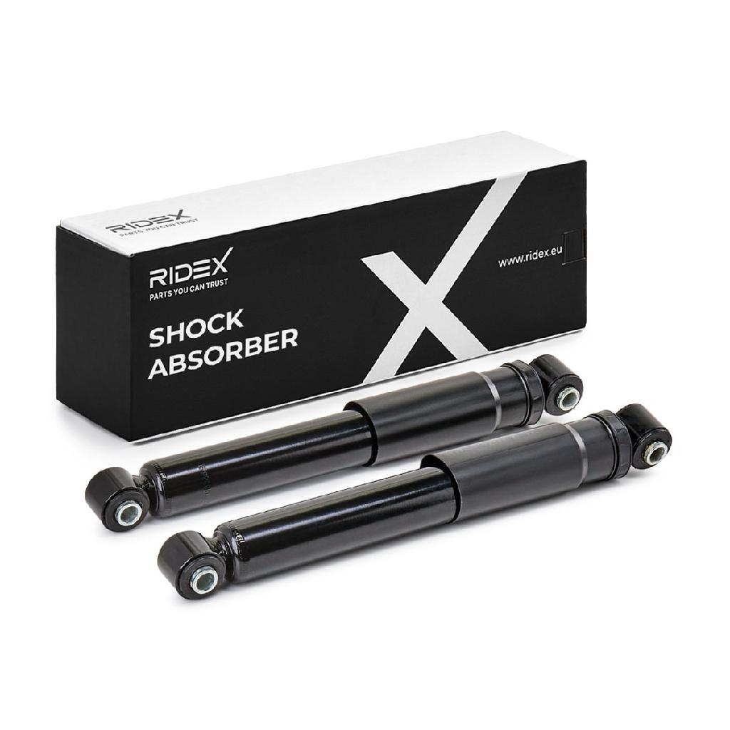 RIDEX 854S19330 2x Stoßdämpfer Gasdruck Hinten für RENAULT KANGOO Express