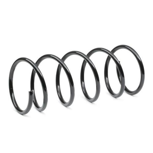 RIDEX 188C0528 2x Federn Fahrwerksfedern Vorne passend für PEUGEOT 5002P3 Bild RIDEX 188C0528 2x Federn Fahrwerksfedern Vorne passend für PEUGEOT 5002P3