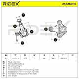 RIDEX 2462S0116 Traggelenk Führungsgelenk Vorne für VW Golf 5II Schrägheck