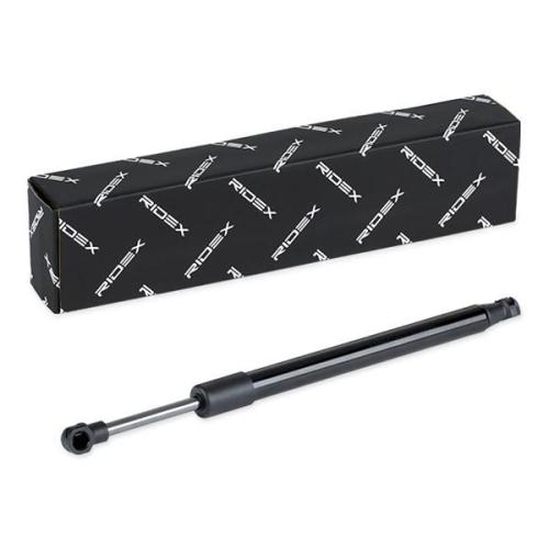 RIDEX 219G0957 Heckklappendämpfer beidseitig Länge:317mm 550N Hub: 65mm für VW Bild RIDEX 219G0957 Heckklappendämpfer beidseitig Länge:317mm 550N Hub: 65mm für VW