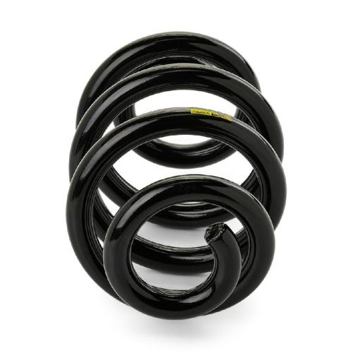 RIDEX PLUS 188C0281P 2x Federn Fahrwerksfedern Hinten für VW 7H0511115AG Bild RIDEX PLUS 188C0281P 2x Federn Fahrwerksfedern Hinten für VW 7H0511115AG