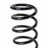 RIDEX 188C0952 2x Federn Fahrwerksfedern Hinten für FIAT PANDA (169) Bild RIDEX 188C0952 2x Federn Fahrwerksfedern Hinten für FIAT PANDA (169)