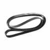 Keilrippenriemen RIDEX 5PK1745 passend für MERCEDES-BENZ A-Klasse (W169) Bild Keilrippenriemen RIDEX 5PK1745 passend für MERCEDES-BENZ A-Klasse (W169)