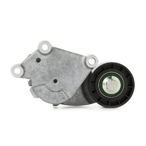 RIDEX PLUS Spannarm Keilrippenriemen für FORD Fiesta Mk6 Schrägheck (JA8, JR8) Bild RIDEX PLUS Spannarm Keilrippenriemen für FORD Fiesta Mk6 Schrägheck (JA8, JR8)