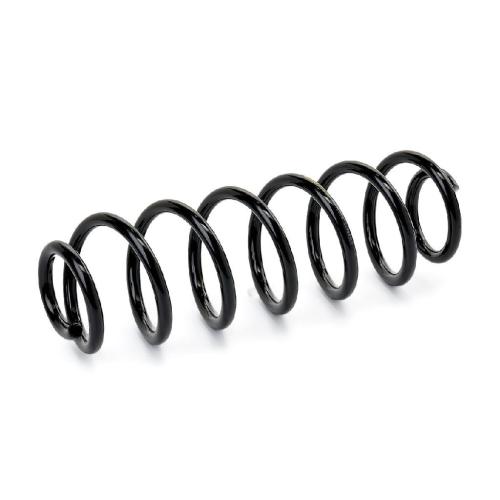 RIDEX PLUS 188C0016P 2x Federn Fahrwerksfedern Hinten für VW V03940001FE007 Bild RIDEX PLUS 188C0016P 2x Federn Fahrwerksfedern Hinten für VW V03940001FE007