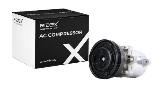 RIDEX A/C Kompressor für Klimaanlage Klimakompressor PAG 100 mit 115mm für BMW Bild RIDEX A/C Kompressor für Klimaanlage Klimakompressor PAG 100 mit 115mm für BMW