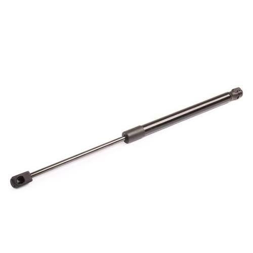 RIDEX 219G0020 Heckklappendämpfer Fahrzeugheckklappe Länge:443mm 600N Hub: 177mm Bild RIDEX 219G0020 Heckklappendämpfer Fahrzeugheckklappe Länge:443mm 600N Hub: 177mm