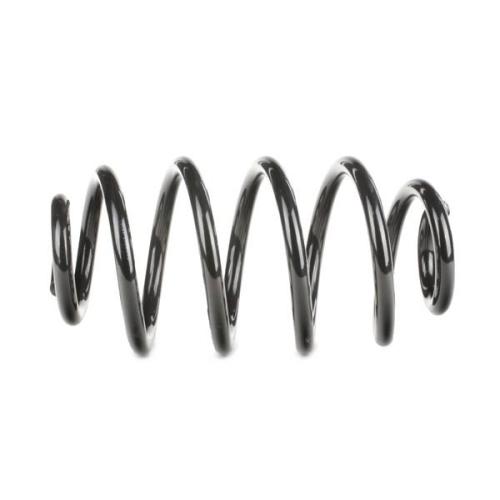 RIDEX 188C0062 2x Federn Fahrwerksfedern Hinten passend für MERCEDES-BENZ Bild RIDEX 188C0062 2x Federn Fahrwerksfedern Hinten passend für MERCEDES-BENZ