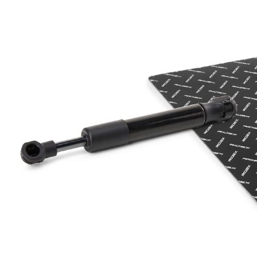 RIDEX 219G1504 Heckklappendämpfer hinten Motorraum für PORSCHE 911 (991) Bild RIDEX 219G1504 Heckklappendämpfer hinten Motorraum für PORSCHE 911 (991)