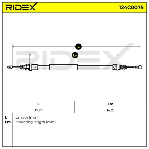RIDEX Handbremsseil Hinten für RENAULT Master 1I Kasten (FD) Bild RIDEX Handbremsseil Hinten für RENAULT Master 1I Kasten (FD)