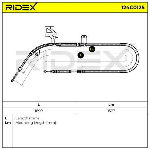 RIDEX Handbremsseil Hinten Rechts für VW PASSAT Variant (3B6) Bild RIDEX Handbremsseil Hinten Rechts für VW PASSAT Variant (3B6)