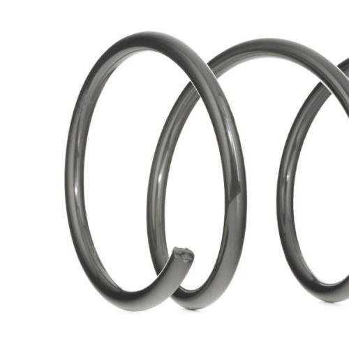 RIDEX 188C0018 2x Federn Fahrwerksfedern Vorne für FORD FOCUS (DAW, DBW) Bild RIDEX 188C0018 2x Federn Fahrwerksfedern Vorne für FORD FOCUS (DAW, DBW)