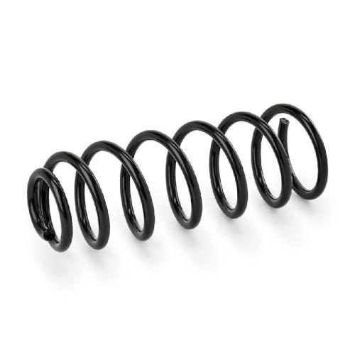 RIDEX 188C1314 2x Federn Fahrwerksfedern Hinten für CITROËN JUMPY Kasten Bild RIDEX 188C1314 2x Federn Fahrwerksfedern Hinten für CITROËN JUMPY Kasten