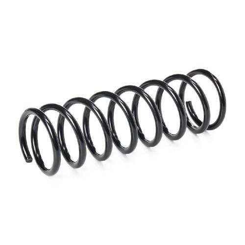 RIDEX 188C0022 2x Federn Fahrwerksfedern Hinten für FORD FOCUS (DAW, DBW) Bild RIDEX 188C0022 2x Federn Fahrwerksfedern Hinten für FORD FOCUS (DAW, DBW)