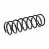 RIDEX 188C0022 2x Federn Fahrwerksfedern Hinten für FORD FOCUS (DAW, DBW) Bild RIDEX 188C0022 2x Federn Fahrwerksfedern Hinten für FORD FOCUS (DAW, DBW)
