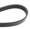 Keilrippenriemen RIDEX 6PK1550 für VW Golf IV Schrägheck (1J1) Transporter V Bus Bild Keilrippenriemen RIDEX 6PK1550 für VW Golf IV Schrägheck (1J1) Transporter V Bus