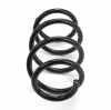 RIDEX PLUS 188C0491P 2x Federn Fahrwerksfedern Vorne für FIAT 1695180480 Bild RIDEX PLUS 188C0491P 2x Federn Fahrwerksfedern Vorne für FIAT 1695180480