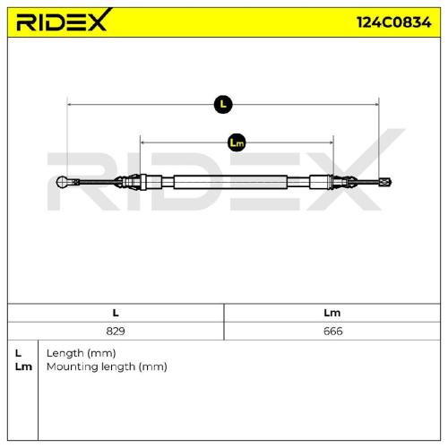 RIDEX Handbremsseil Hinten für CITROËN C4 II (B7) Bild RIDEX Handbremsseil Hinten für CITROËN C4 II (B7)