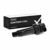 RIDEX 689C0171 Zündspule für HYUNDAI ix35 (LM, EL, ELH) 273002B010 273012B010