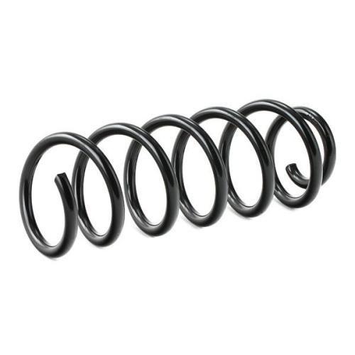 RIDEX 188C0535 2x Federn Fahrwerksfedern Hinten passend für PEUGEOT 406 Bild RIDEX 188C0535 2x Federn Fahrwerksfedern Hinten passend für PEUGEOT 406