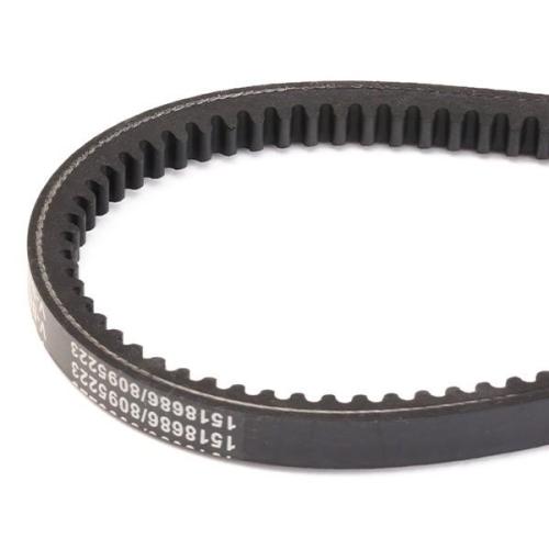 RIDEX 10C0073 Keilriemen 935mm für NISSAN X-TRAIL (T30) für MITSUBISHI PAJERO II Bild RIDEX 10C0073 Keilriemen 935mm für NISSAN X-TRAIL (T30) für MITSUBISHI PAJERO II