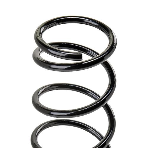 RIDEX 188C0146 2x Federn Fahrwerksfedern Vorne für SUZUKI SX4 (EY, GY) Bild RIDEX 188C0146 2x Federn Fahrwerksfedern Vorne für SUZUKI SX4 (EY, GY)