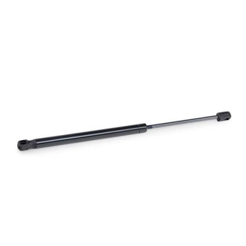 RIDEX 219G0702 Heckklappendämpfer Länge:420mm 600N Hub: 162mm Hub: 160mm Bild RIDEX 219G0702 Heckklappendämpfer Länge:420mm 600N Hub: 162mm Hub: 160mm