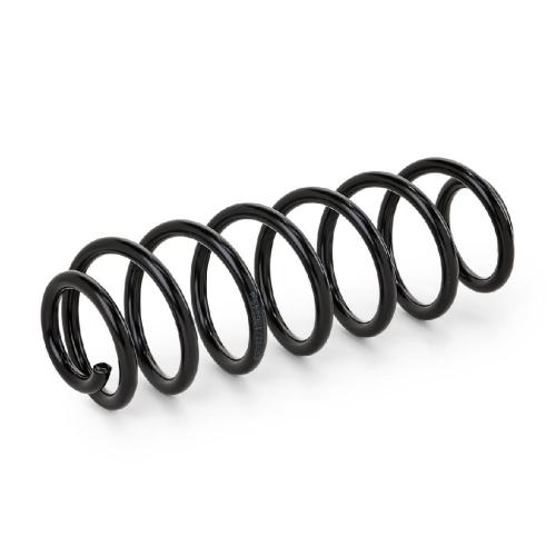 RIDEX 188C0497 2x Federn Fahrwerksfedern Hinten für VW Golf 5I (5K1) Bild RIDEX 188C0497 2x Federn Fahrwerksfedern Hinten für VW Golf 5I (5K1)