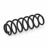 RIDEX 188C0497 2x Federn Fahrwerksfedern Hinten für VW Golf 5I (5K1) Bild RIDEX 188C0497 2x Federn Fahrwerksfedern Hinten für VW Golf 5I (5K1)
