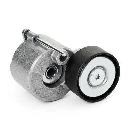 RIDEX 310T0639 Spannrolle Keilrippenriemen für VW Multivan VI (SGF, SGM, SGN) Bild RIDEX 310T0639 Spannrolle Keilrippenriemen für VW Multivan VI (SGF, SGM, SGN)