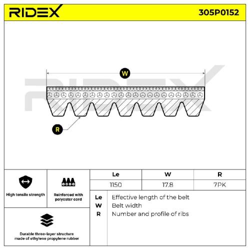RIDEX Keilrippenriemen für FIAT PANDA (169) Bild RIDEX Keilrippenriemen für FIAT PANDA (169)