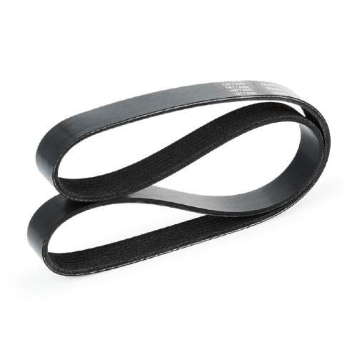 RIDEX Keilrippenriemen für RENAULT Clio 1II Schrägheck (BR0/1, CR0/1) Bild RIDEX Keilrippenriemen für RENAULT Clio 1II Schrägheck (BR0/1, CR0/1)