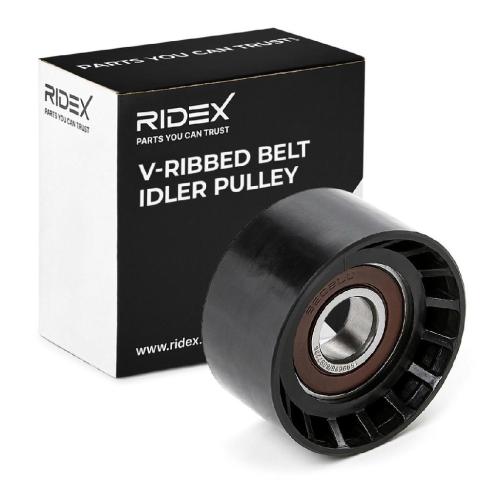 RIDEX Umlenk- / Führungsrolle Keilrippenriemen für RENAULT Clio 1I Bild RIDEX Umlenk- / Führungsrolle Keilrippenriemen für RENAULT Clio 1I