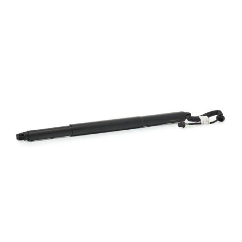 RIDEX 219G1465 Heckklappendämpfer für VW Touran (5T1) 5TA827851905 5TA827851A905 Bild RIDEX 219G1465 Heckklappendämpfer für VW Touran (5T1) 5TA827851905 5TA827851A905