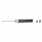 RIDEX 854S20871 2x Stoßdämpfer Gasdruck Hinten für SUZUKI KIZASHI (FR)