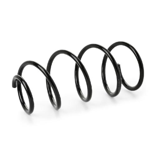 RIDEX 188C1398 2x Federn Fahrwerksfedern Vorne für BMW 3 Touring (E91) Bild RIDEX 188C1398 2x Federn Fahrwerksfedern Vorne für BMW 3 Touring (E91)