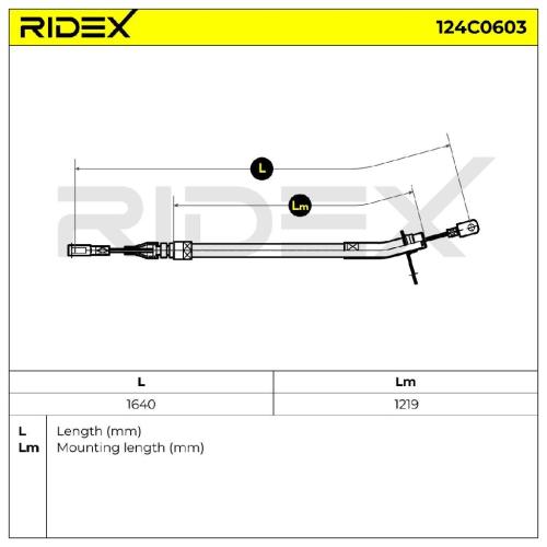 RIDEX Handbremsseil Hinten passend für MERCEDES-BENZ Stufenheck (W123) Bild RIDEX Handbremsseil Hinten passend für MERCEDES-BENZ Stufenheck (W123)