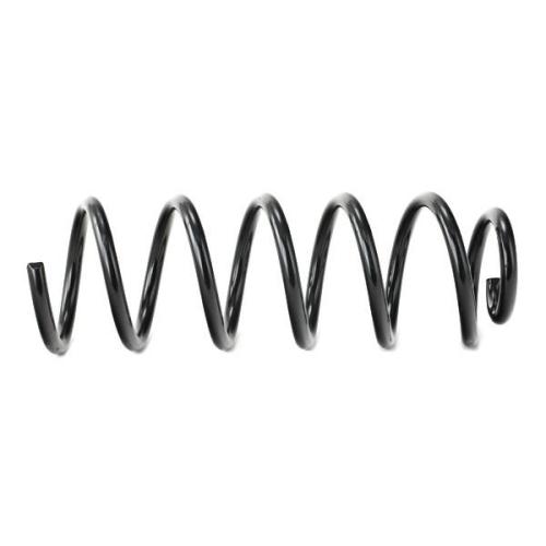 RIDEX 188C0535 2x Federn Fahrwerksfedern Hinten passend für PEUGEOT 406 Bild RIDEX 188C0535 2x Federn Fahrwerksfedern Hinten passend für PEUGEOT 406
